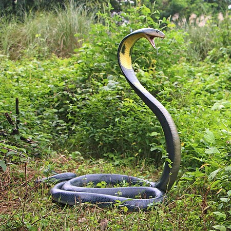 Design Toscano King Cobra Life-Size Snake Statue NE160182